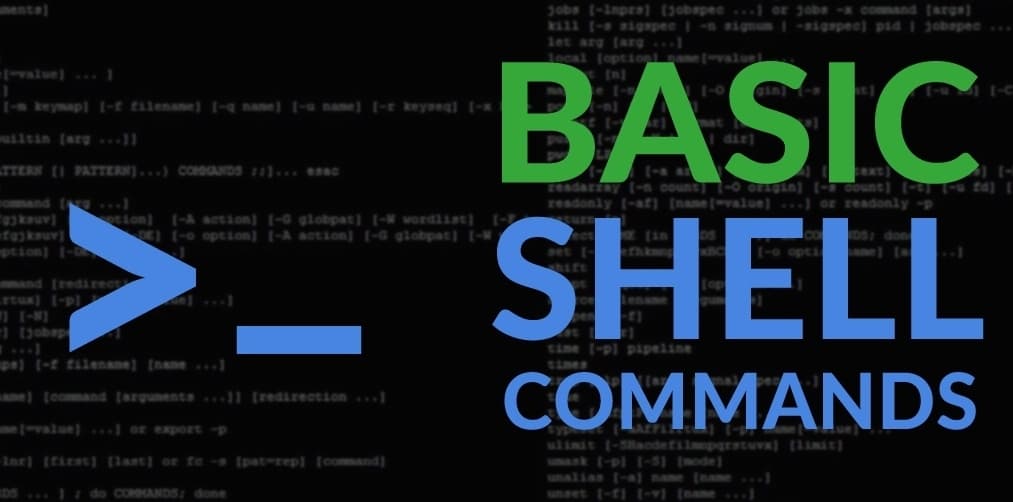 Basic Shell Commands in Linux
