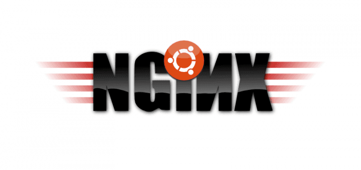 Setting Up a Website with Nginx and Certbot